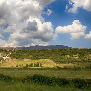 Focus group con le imprese