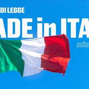 Ddl Made in Italy