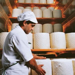 Accesso agevolato al credito per le aziende che producono pecorino romano