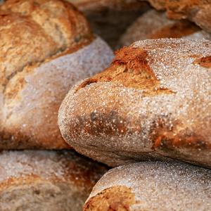Fiera del pane e della pasticceria