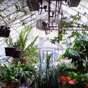 Fiori per tutte le stagioni