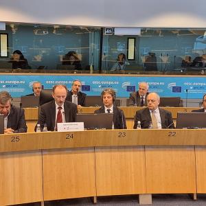 Imprese insulari del Mediterraneo