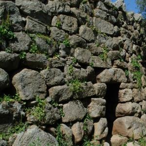 Nuraghe