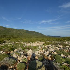 Ambiente e post lockdown