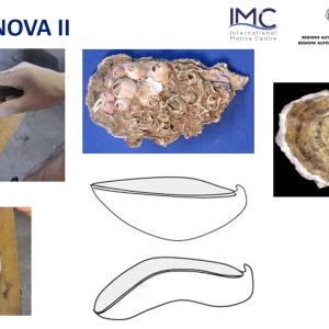 ostrinnova - un'immagine del video dimostrativo