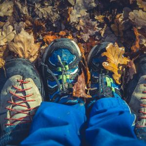 Photo by <a href="https://unsplash.com/@markusspiske?utm_source=unsplash&utm_medium=referral&utm_content=creditCopyText">Markus Spiske</a> on <a href="https://unsplash.com/s/photos/welfare?utm_source=unsplash&utm_medium=referral&utm_content=creditCopyText">Unsplash</a> Welfare