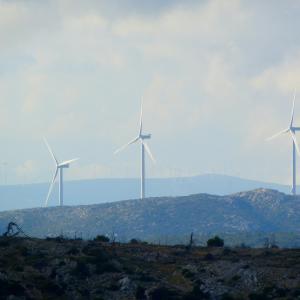 Photo by <a href="https://unsplash.com/@hike_feel_film?utm_source=unsplash&utm_medium=referral&utm_content=creditCopyText">Feri & Tasos</a> on <a href="https://unsplash.com/s/photos/circular-economy?utm_source=unsplash&utm_medium=referral&utm_content=creditCopyText">Unsplash</a> Decreto Sostegni