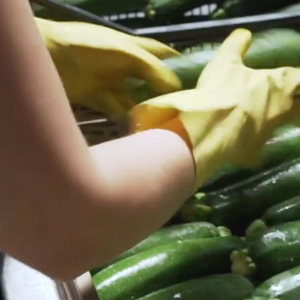 imprese agricole imprese agricole