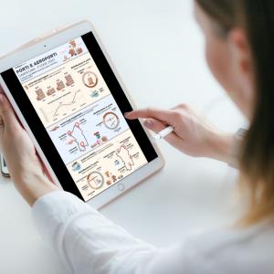 Infografica arrivi estate 2022