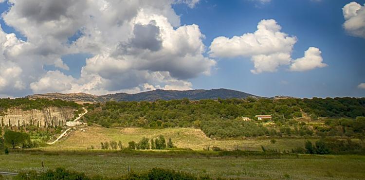 Focus group con le imprese