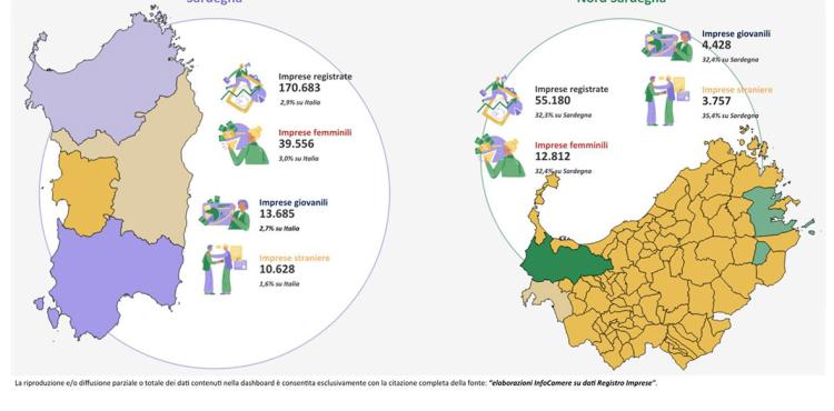Dashboard interattiva delle imprese del nord Sardegna