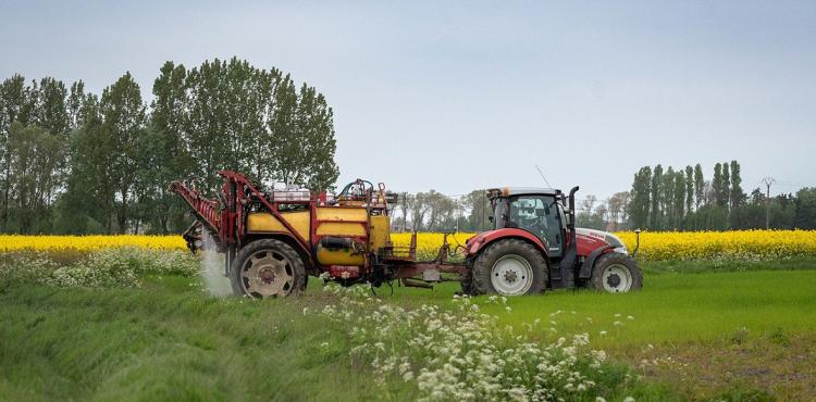 Reti d’impresa, filiere produttive e ricerca nel settore agroalimentare