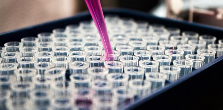 Tre bandi PNRR dall'Università di Sassari