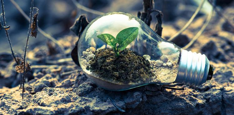 In Italia 3,1 milioni di green job