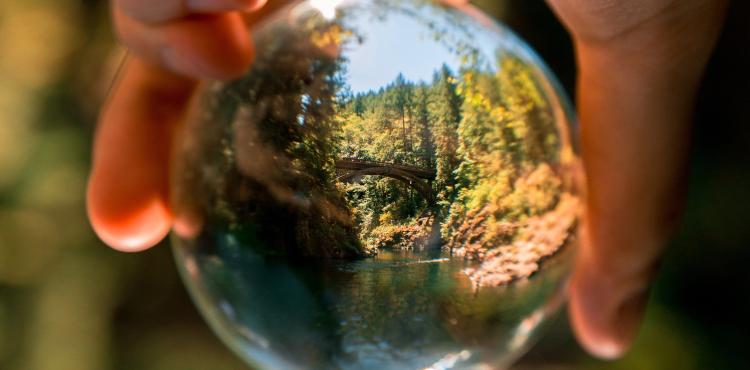 SOTENIBILITà AMBIENTALE