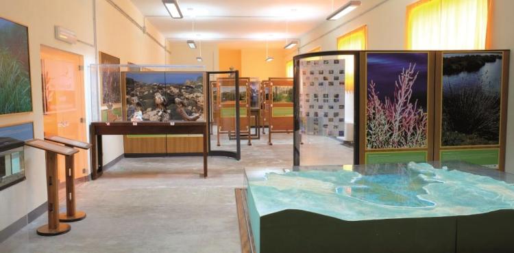 cambiamenti climatici - appuntamento a glasgow