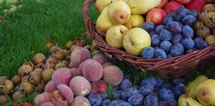 frutta mista frutta mista