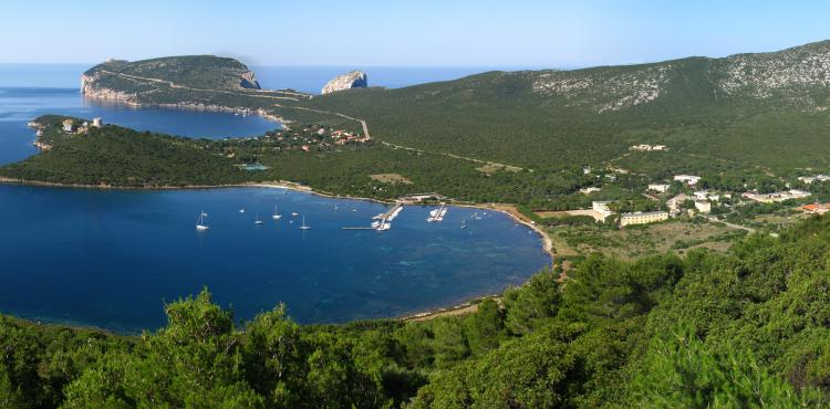 una veduta boschiva fronte mare