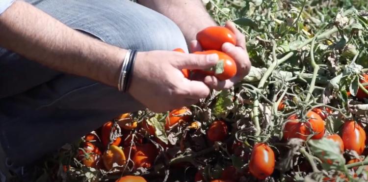 Casar - immagine di repertorio