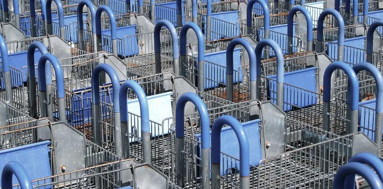 <span>Photo by <a href="https://unsplash.com/@jasmund?utm_source=unsplash&utm_medium=referral&utm_content=creditCopyText">Michael Jasmund</a> on <a href="https://unsplash.com/s/photos/commerce?utm_source=unsplash&utm_medium=referral&utm_content=creditCopyText">Unsplash</a></span> Commercio