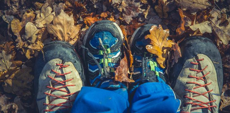 Photo by <a href="https://unsplash.com/@markusspiske?utm_source=unsplash&utm_medium=referral&utm_content=creditCopyText">Markus Spiske</a> on <a href="https://unsplash.com/s/photos/welfare?utm_source=unsplash&utm_medium=referral&utm_content=creditCopyText">Unsplash</a> Welfare