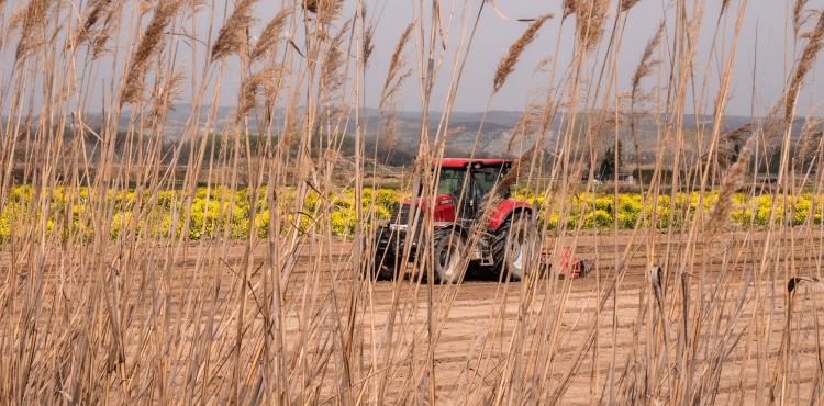 Photo by <a href="https://unsplash.com/@chasingssuns?utm_source=unsplash&utm_medium=referral&utm_content=creditCopyText">Marta Ortigosa</a> on <a href="https://unsplash.com/s/photos/agribusiness?utm_source=unsplash&utm_medium=referral&utm_content=creditCopyText">Unsplash</a> Agricoltura