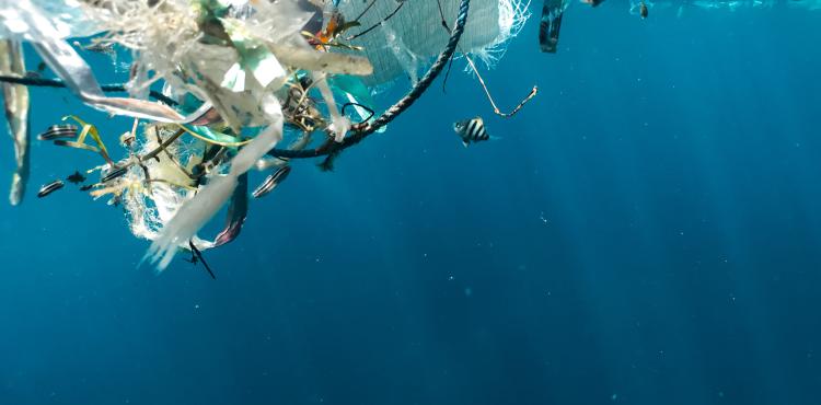 Photo by <a href="https://unsplash.com/@naja_bertolt_jensen?utm_source=unsplash&utm_medium=referral&utm_content=creditCopyText">Naja Bertolt Jensen</a> on <a href="https://unsplash.com/s/photos/water-pollution?utm_source=unsplash&utm_medium=referral&utm_content=creditCopyText">Unsplash</a> Ambiente