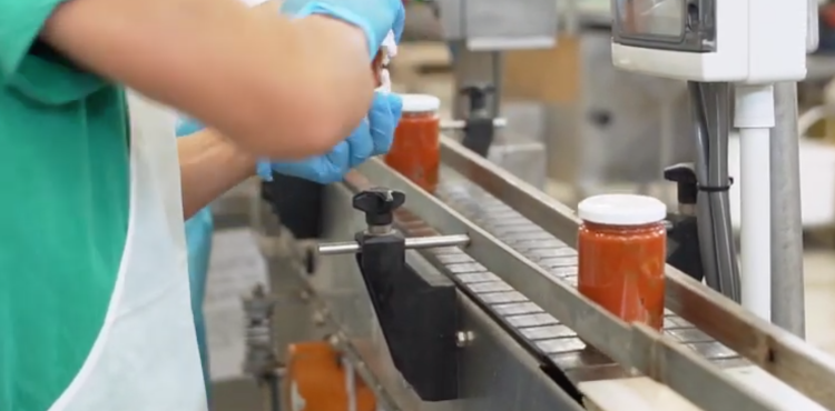 imprenditoria femminile