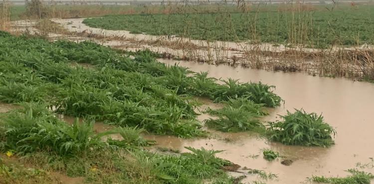 Terreni nella bassa valle del Coghinas Terreni nella bassa valle del Coghinas