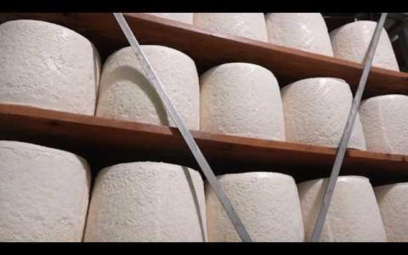 Embedded thumbnail for LATTERIA LAIT: eccellenza casearia, sostenibilità e vocazione all’export